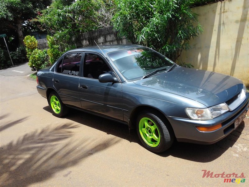 1996' Toyota Corolla photo #1