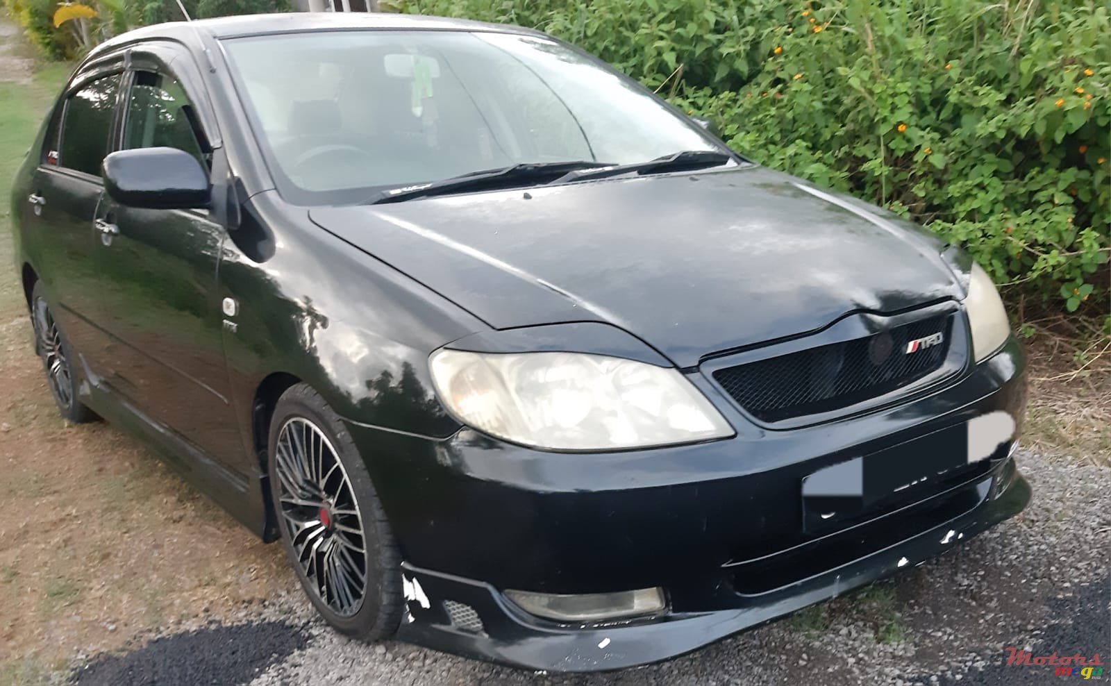 2003' Toyota photo #5