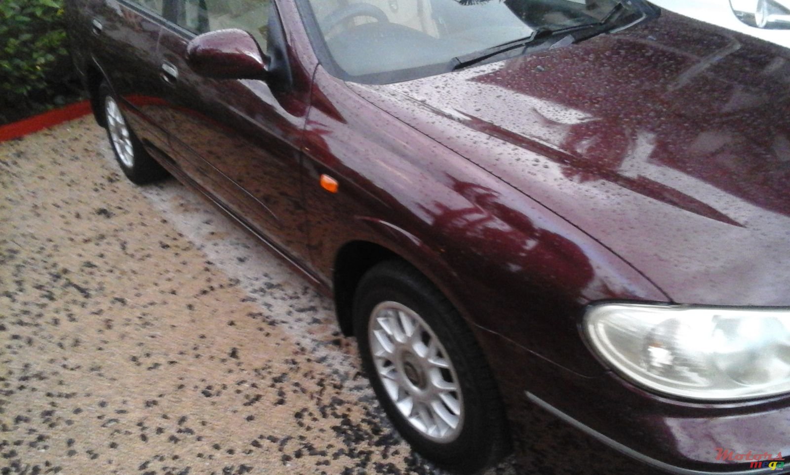 2004' Nissan photo #1