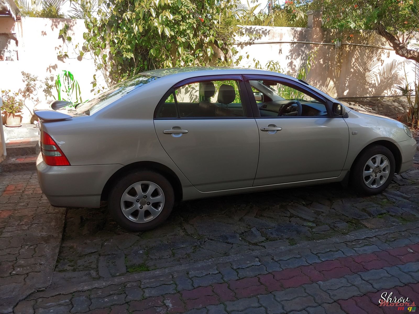 2002' Toyota Corolla NZE photo #4