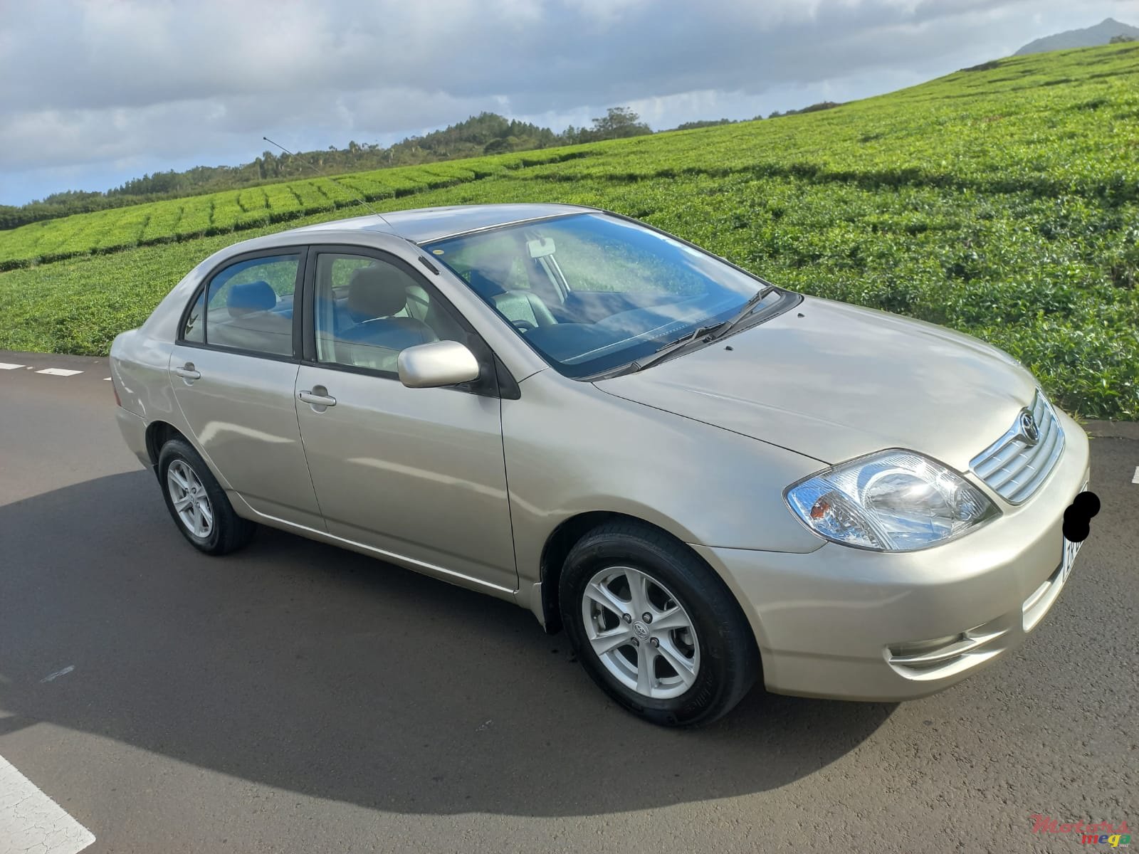 2002' Toyota Corolla photo #2
