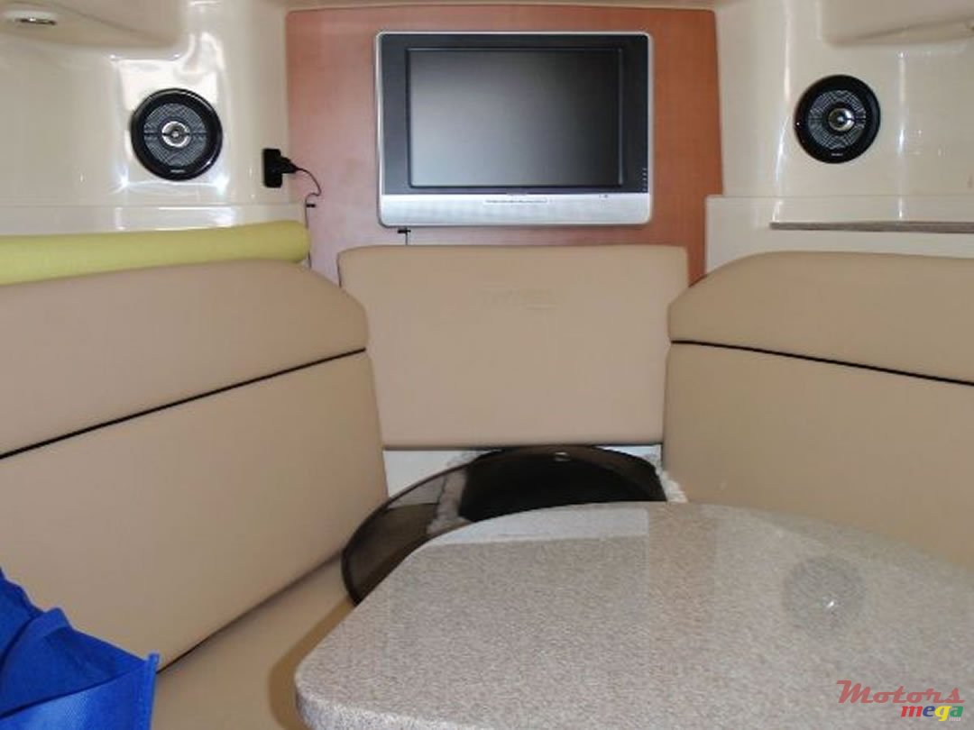 2009' Sea Triton 301XD photo #4