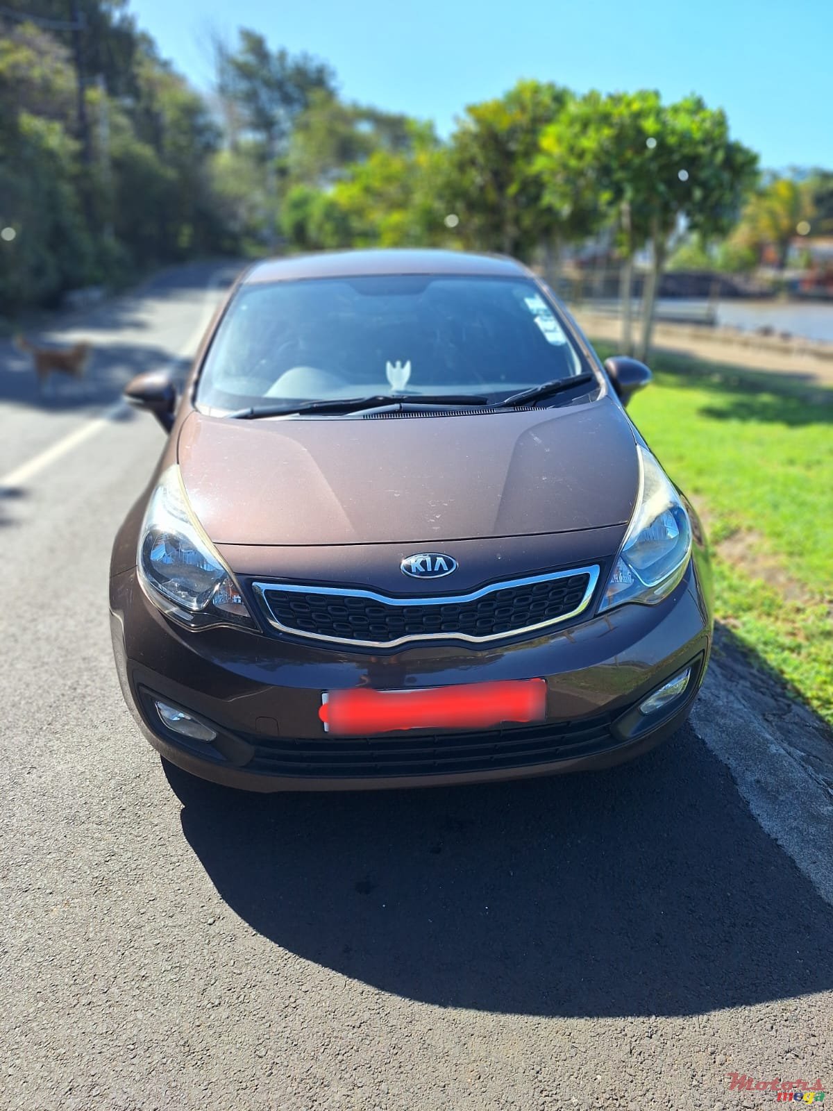 2014' Kia Rio photo #1