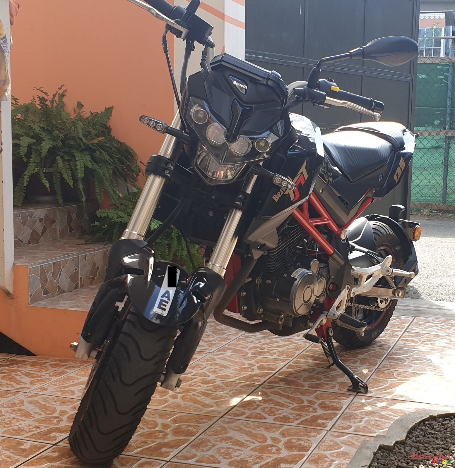 2020' Benelli photo #1