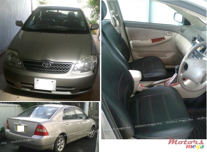 2002' Toyota NZE photo #1