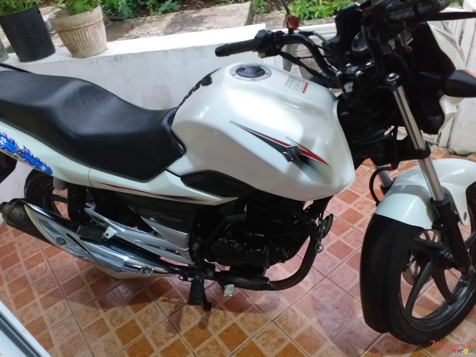 2016' Suzuki photo #1