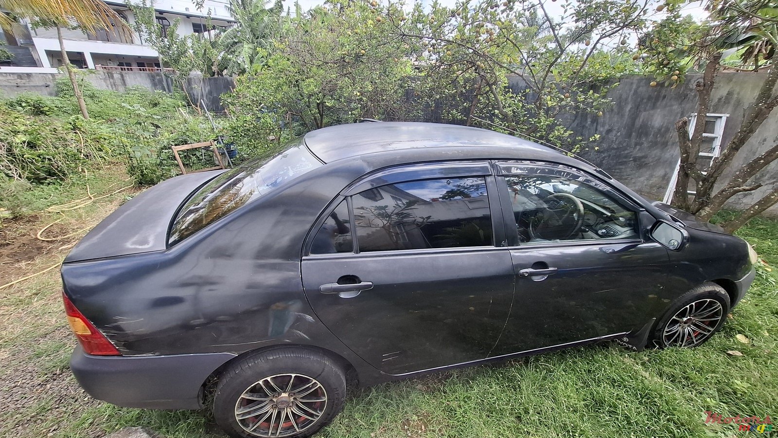 2001' Toyota Corolla photo #7