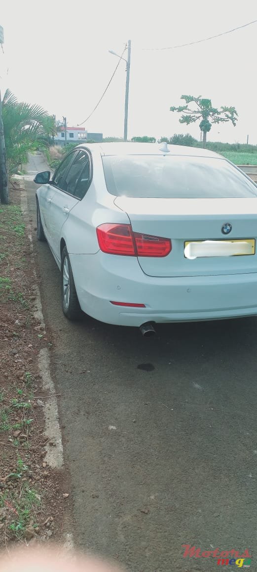 2013' BMW 316 photo #7