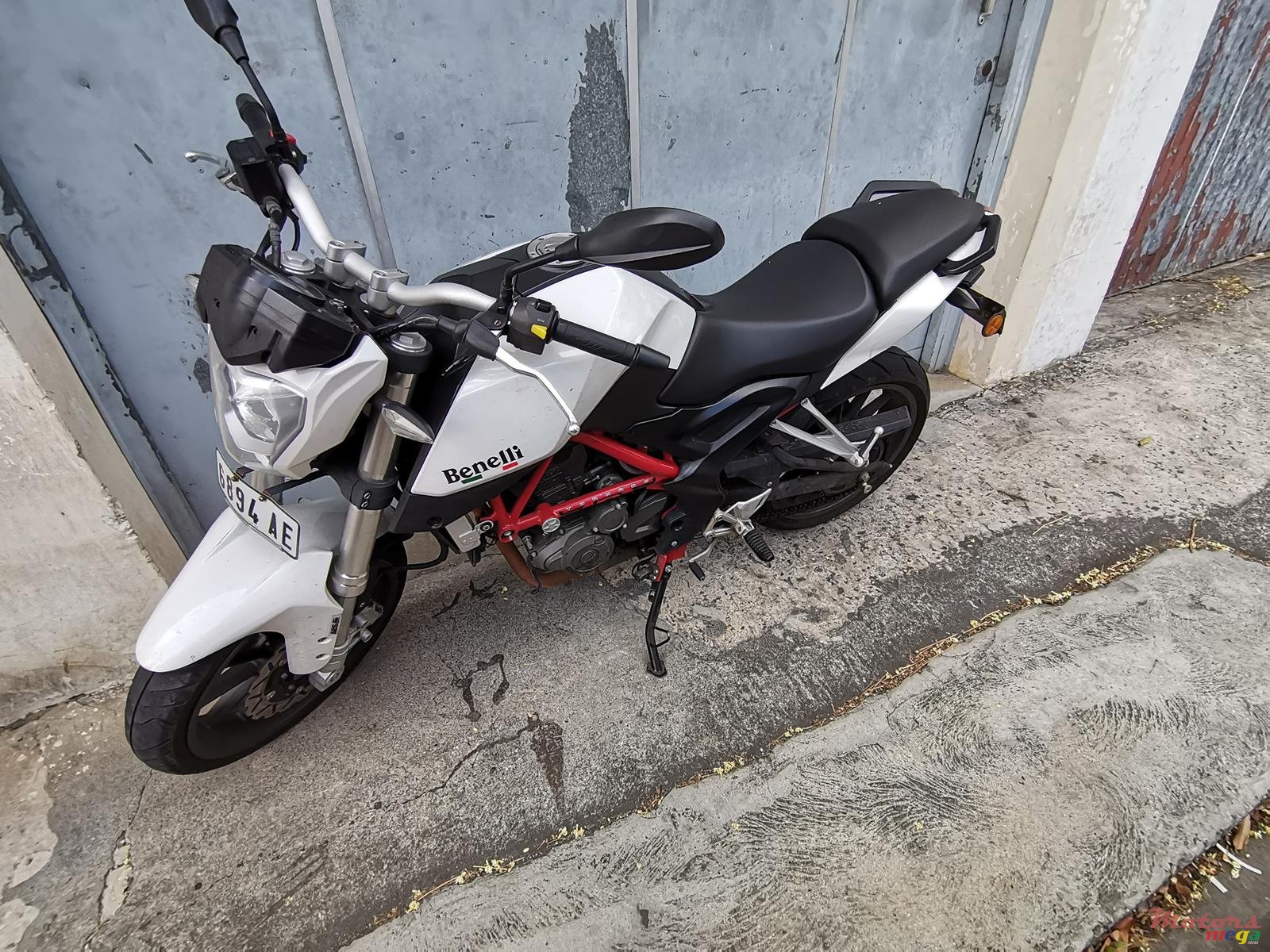 2019' Benelli photo #2