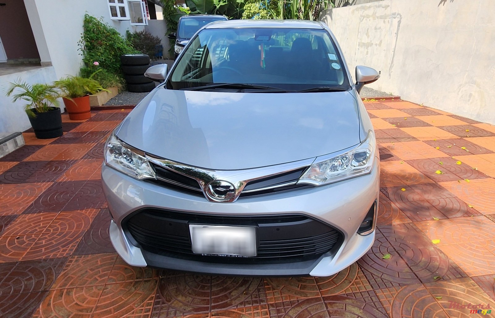 2019' Toyota Corolla photo #1