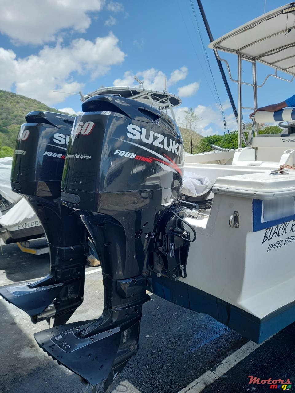 2010' Big Fisher photo #3