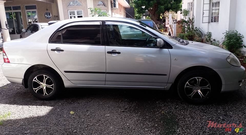 2004' Toyota Corolla GLI photo #4