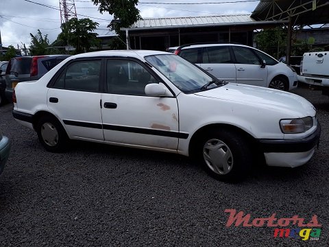 1996' Toyota Corolla photo #3