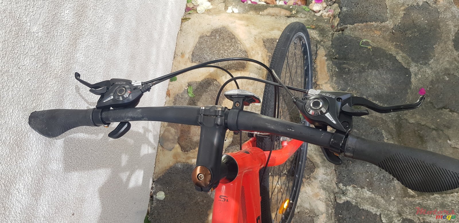 2019' Cannondale photo #5