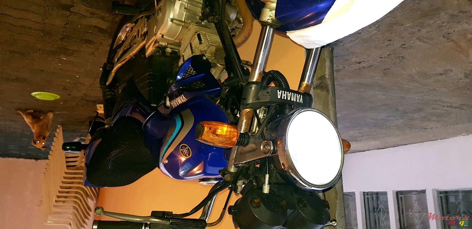 2006' Yamaha Ybr 125cc photo #4