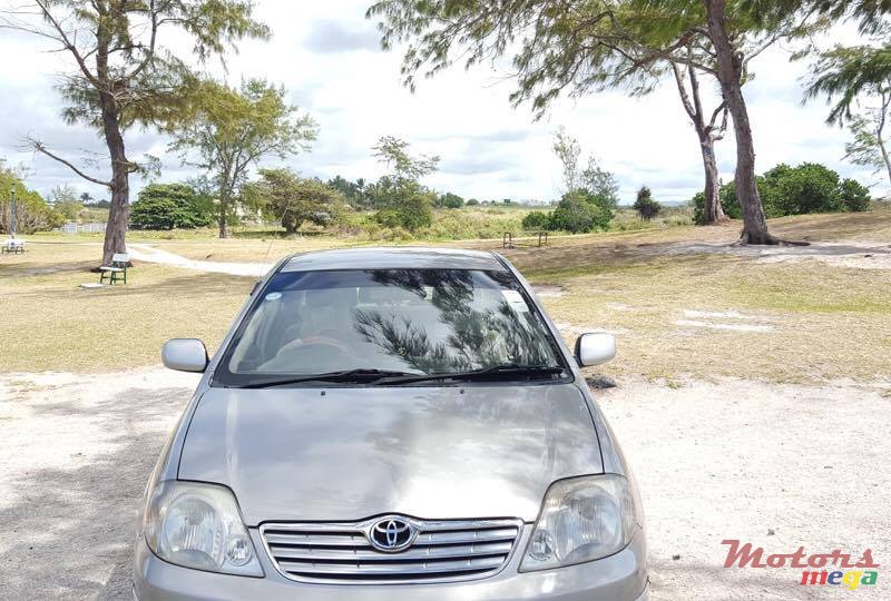 2002' Toyota Corolla photo #4