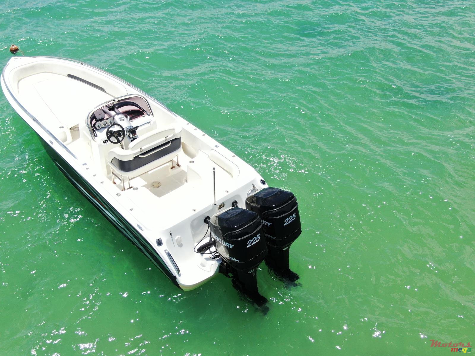 2010' Cobra photo #3