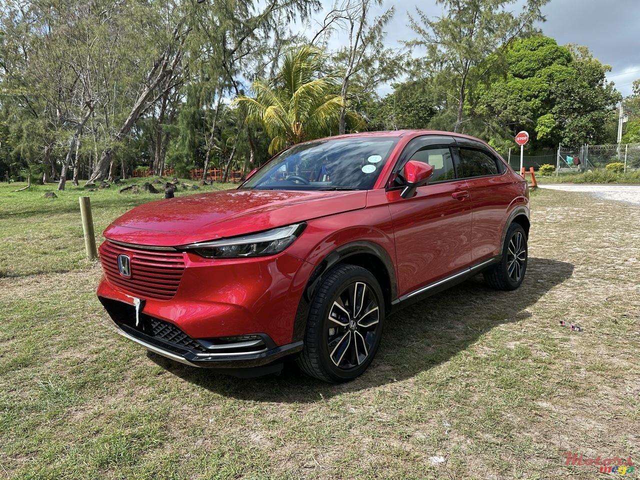 2022' Honda photo #4
