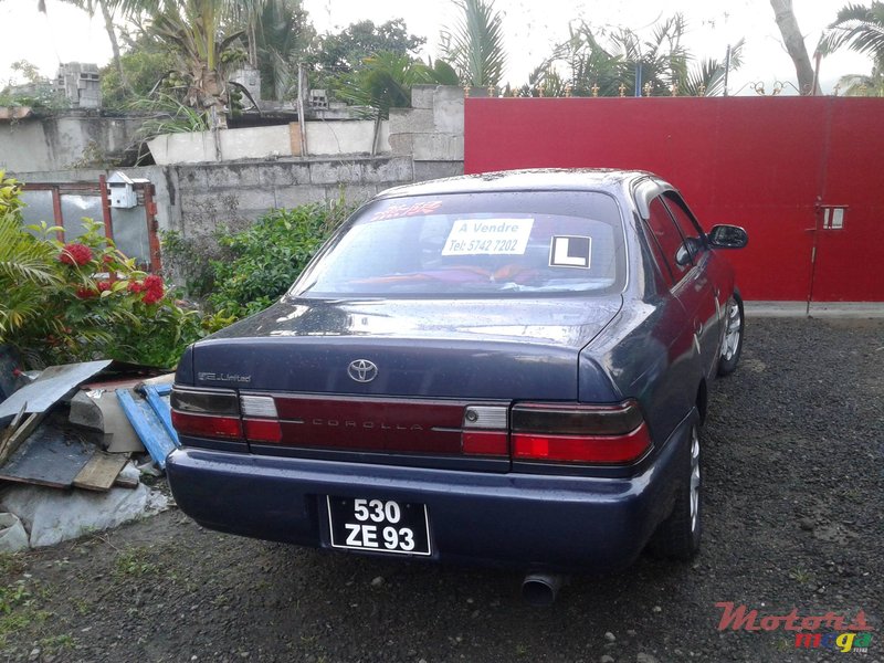 1993' Toyota Corolla photo #3