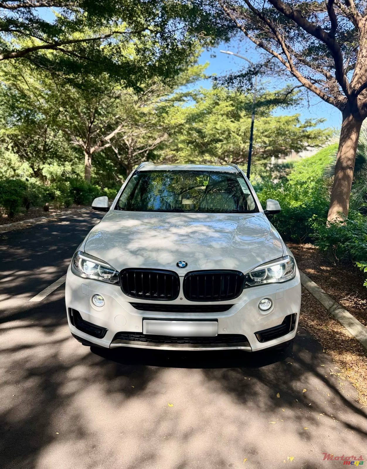 2015' BMW X5 photo #2