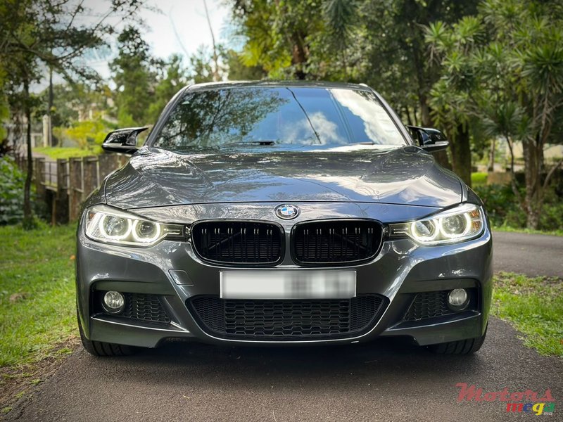 2014' BMW 316i M Sport photo #1