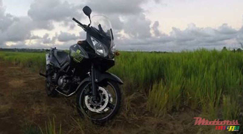 2007' Suzuki photo #1