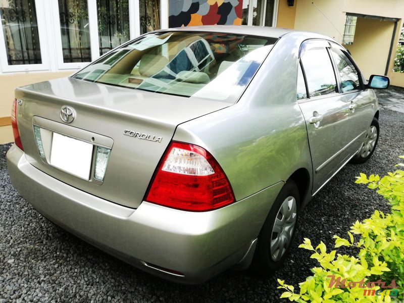 2005' Toyota Corolla photo #1