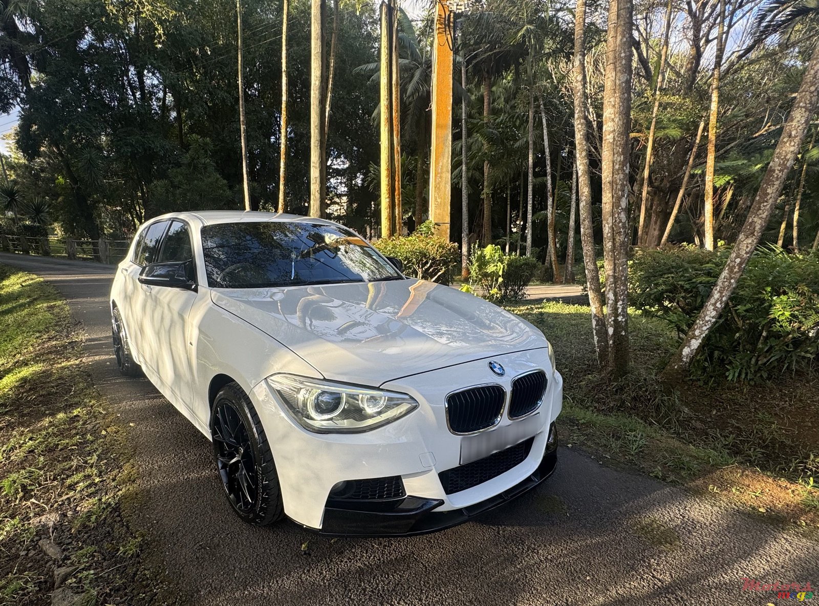 2014' BMW 116i photo #1