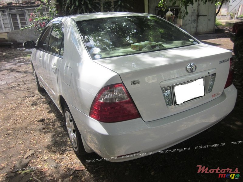 2006' Toyota Corolla Nze G photo #3