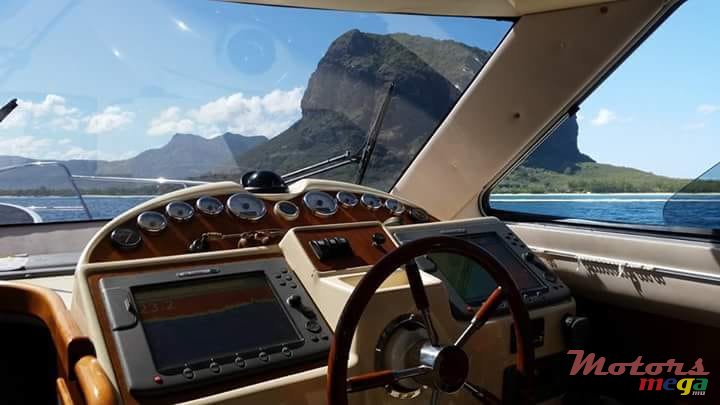 2009' Leopard photo #7