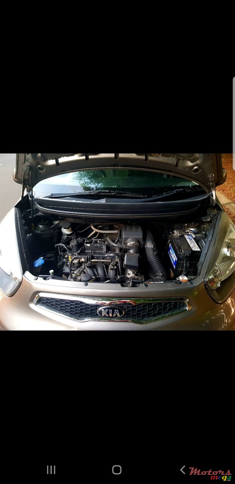 2013' Kia Picanto photo #3