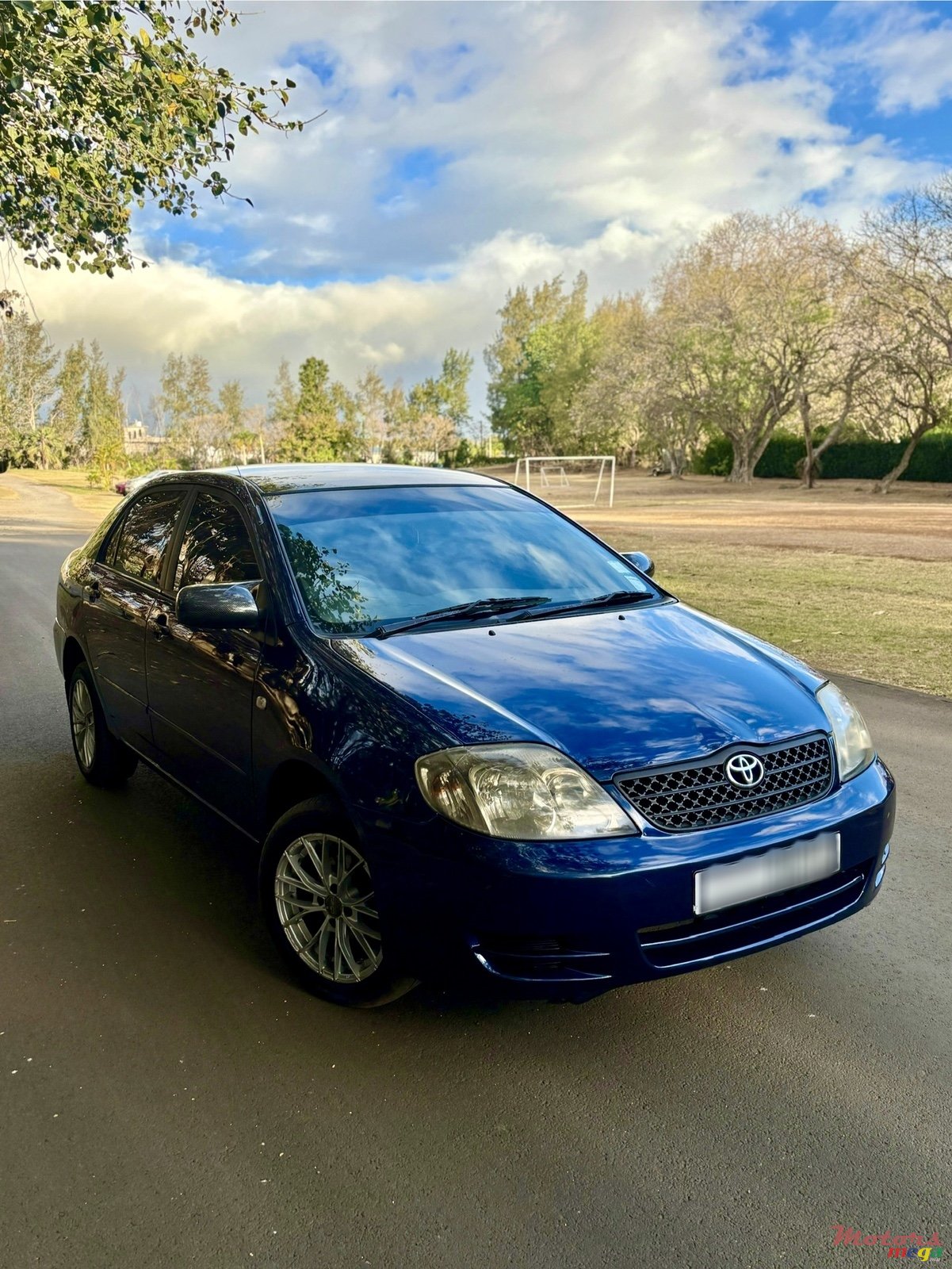 2004' Toyota Corolla NZE photo #1