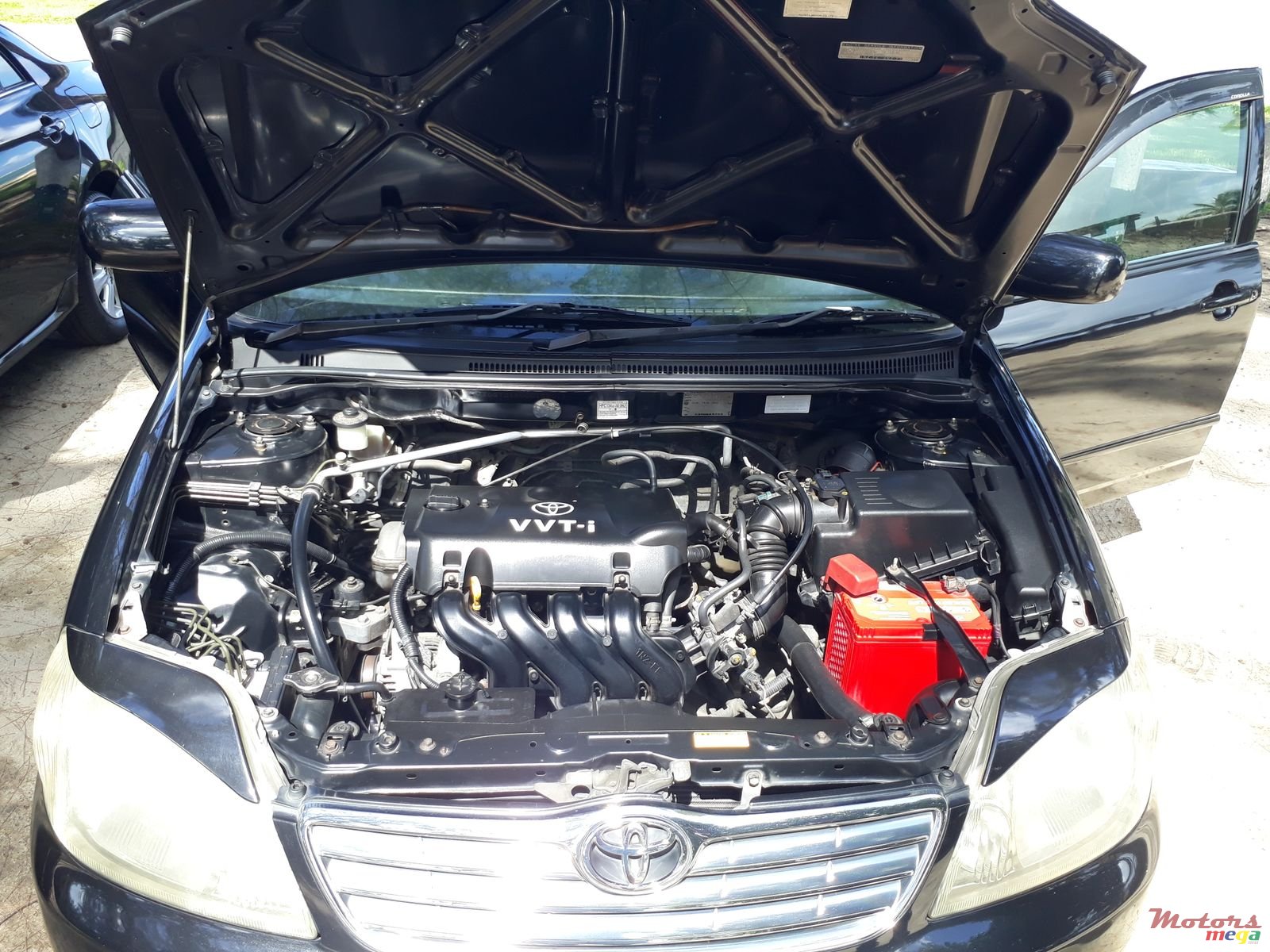 2002' Toyota Corolla photo #2