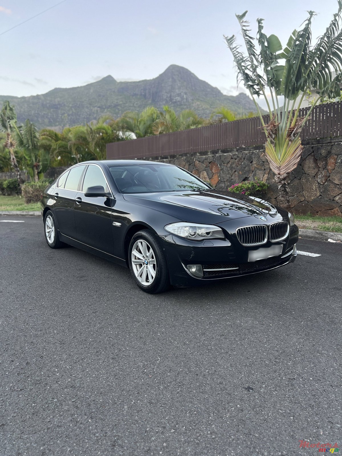 2013' BMW 520 photo #1