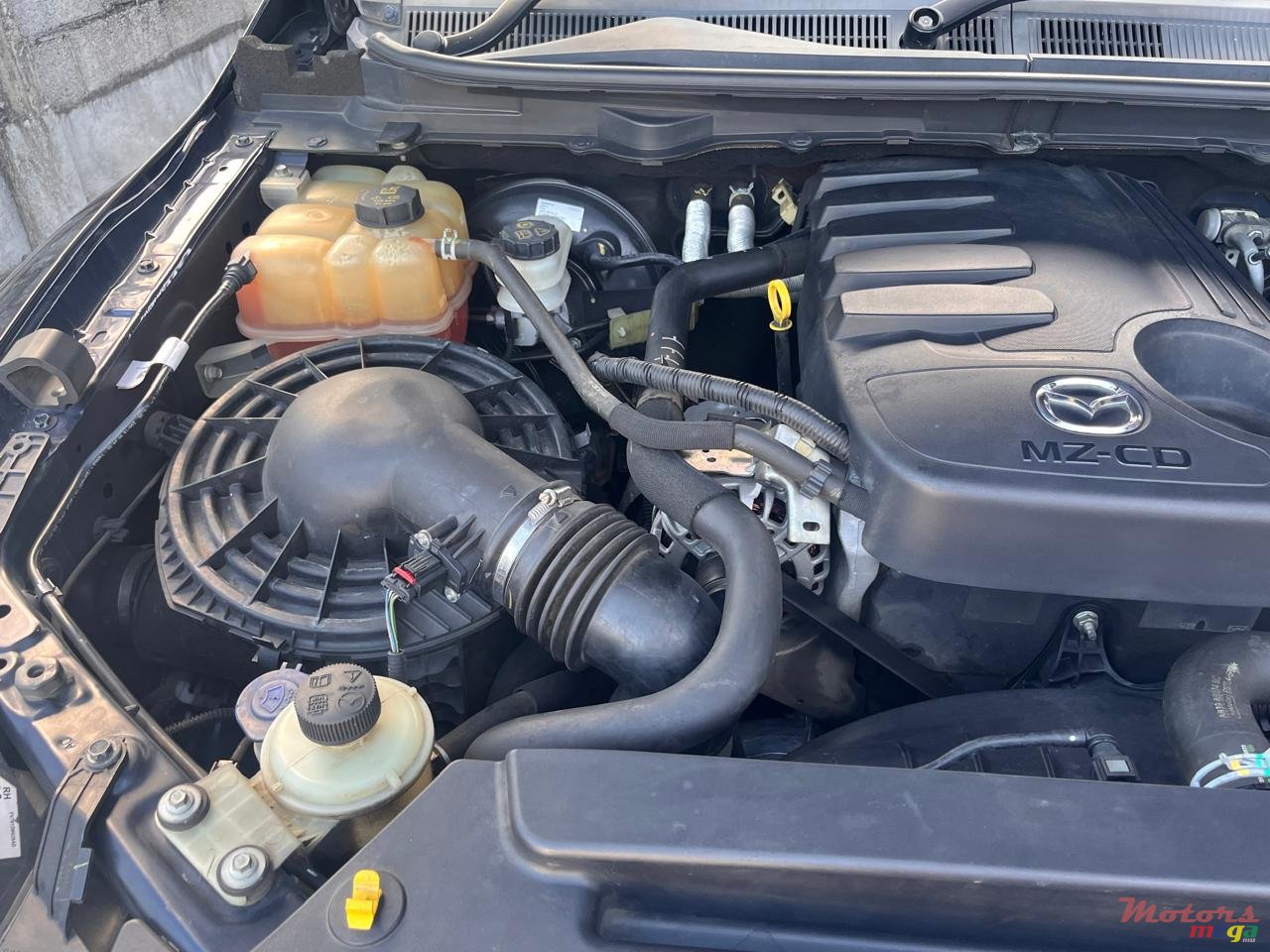 2020' Mazda BT-50 photo #6