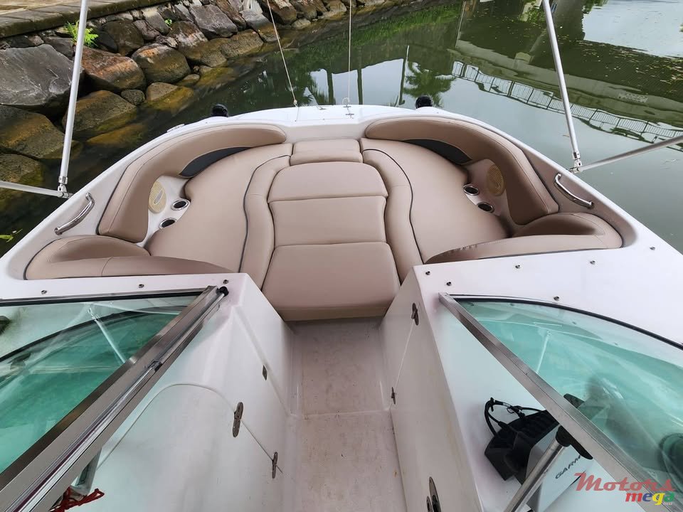 2014' Sunsation photo #5