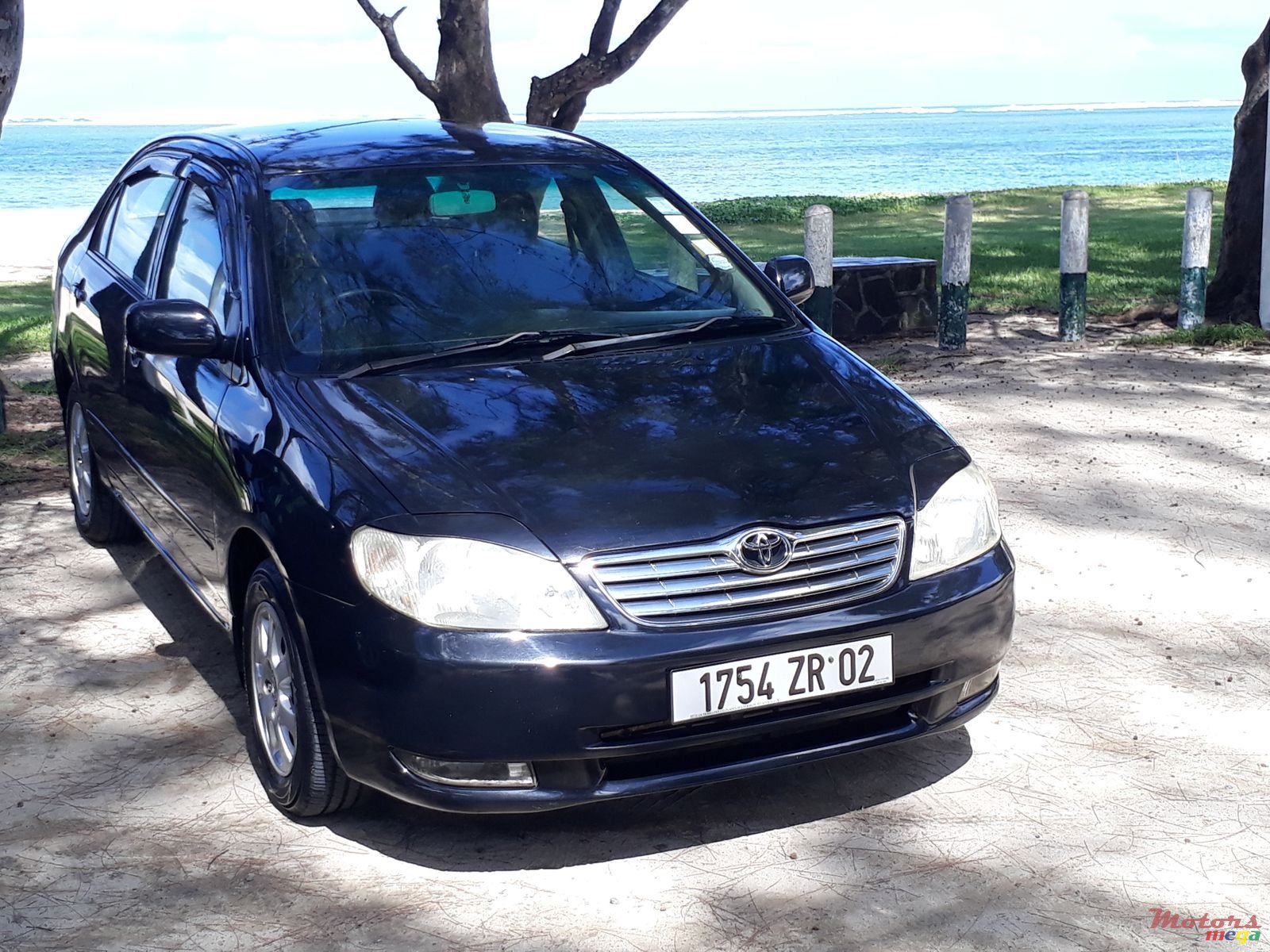 2002' Toyota Corolla photo #5