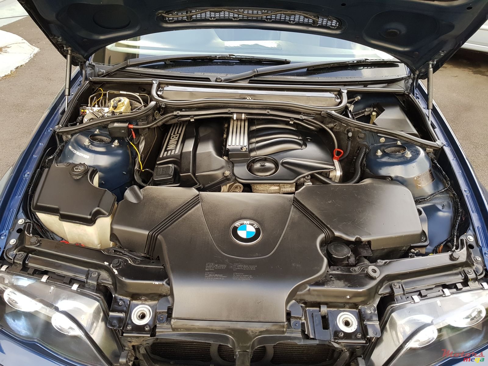 2003' BMW 318 photo #4