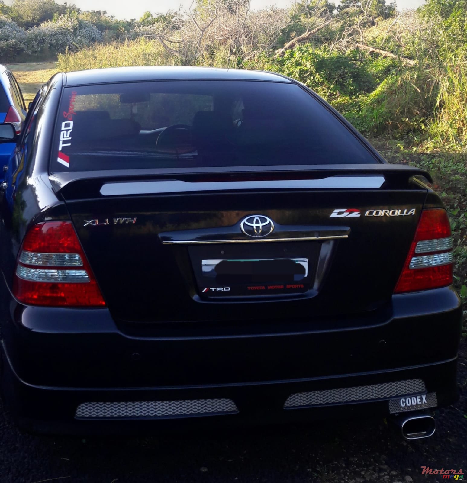 2003' Toyota photo #6