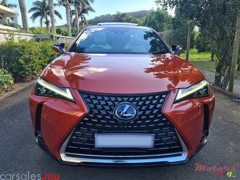 2021' Lexus UX 250h AWD photo #3