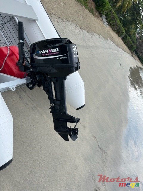 2021' Parsun 9.8 Cv photo #3