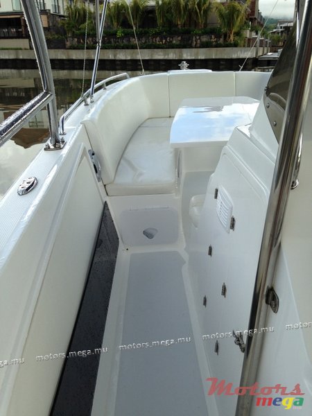 2013'  Cheeta 30" photo #3