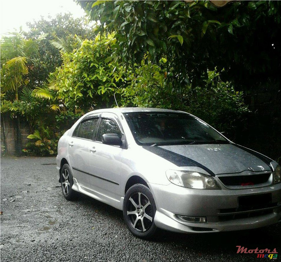 2002' Toyota Corolla Nze photo #1