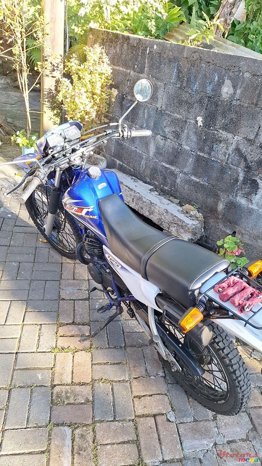 2008' Yamaha photo #1