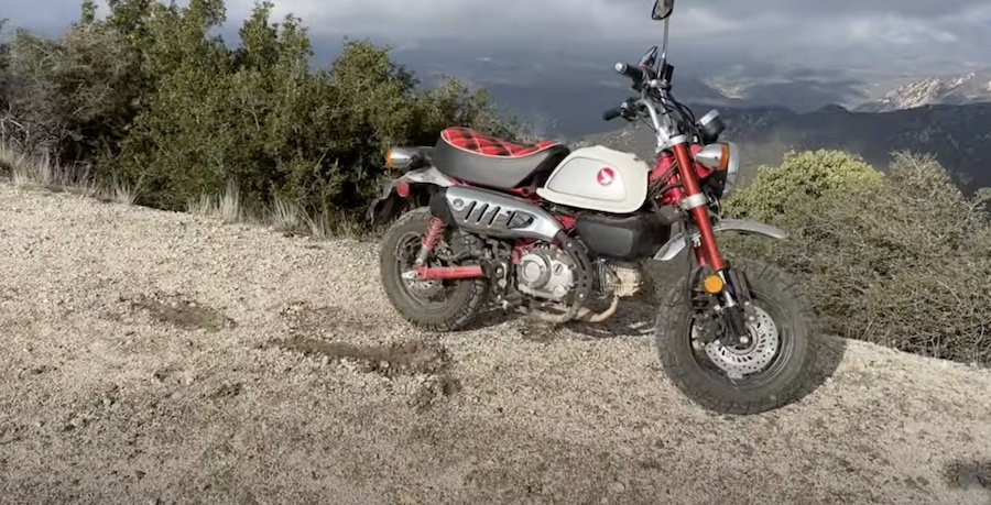 What Happens When You Off Road A Honda Monkey?