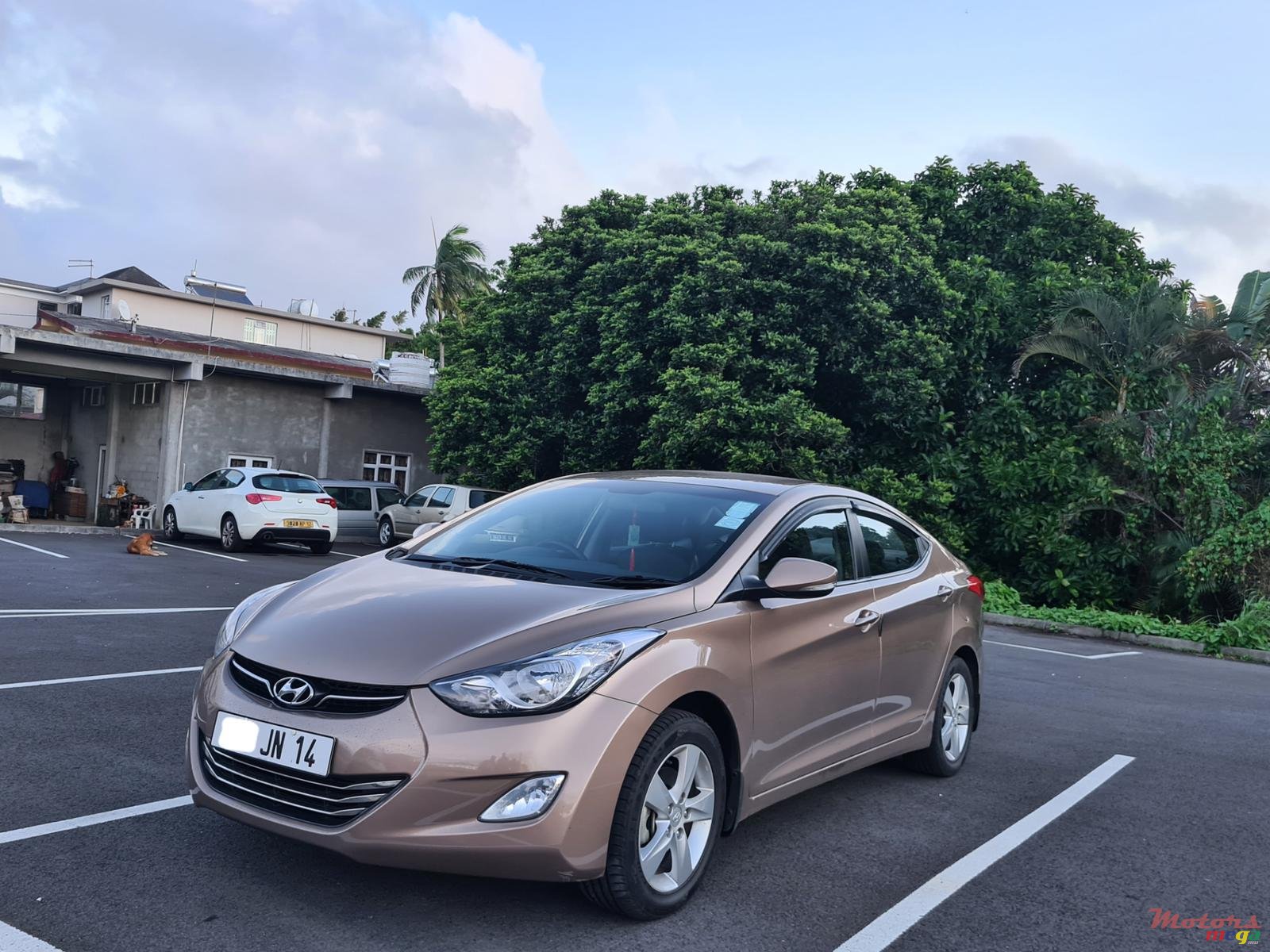 2014' Hyundai Elantra Automatic photo #2