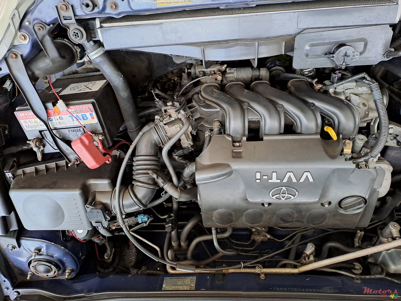 2003' Toyota Corolla photo #5