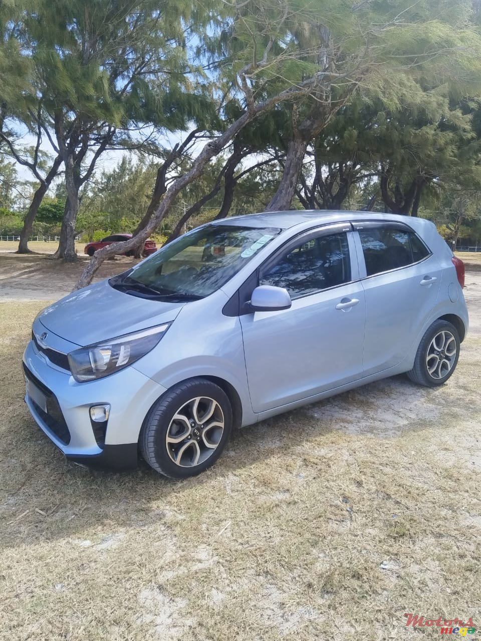 2019' Kia Picanto photo #3