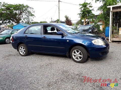 2005' Toyota Corolla NZE photo #1