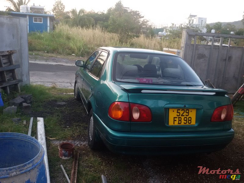 1998' Toyota Corolla photo #1